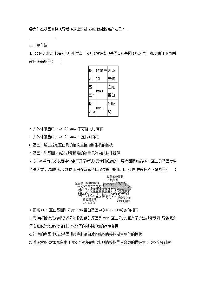 2022高考生物一轮复习课时练18基因对性状的控制含解析新人教版第3页