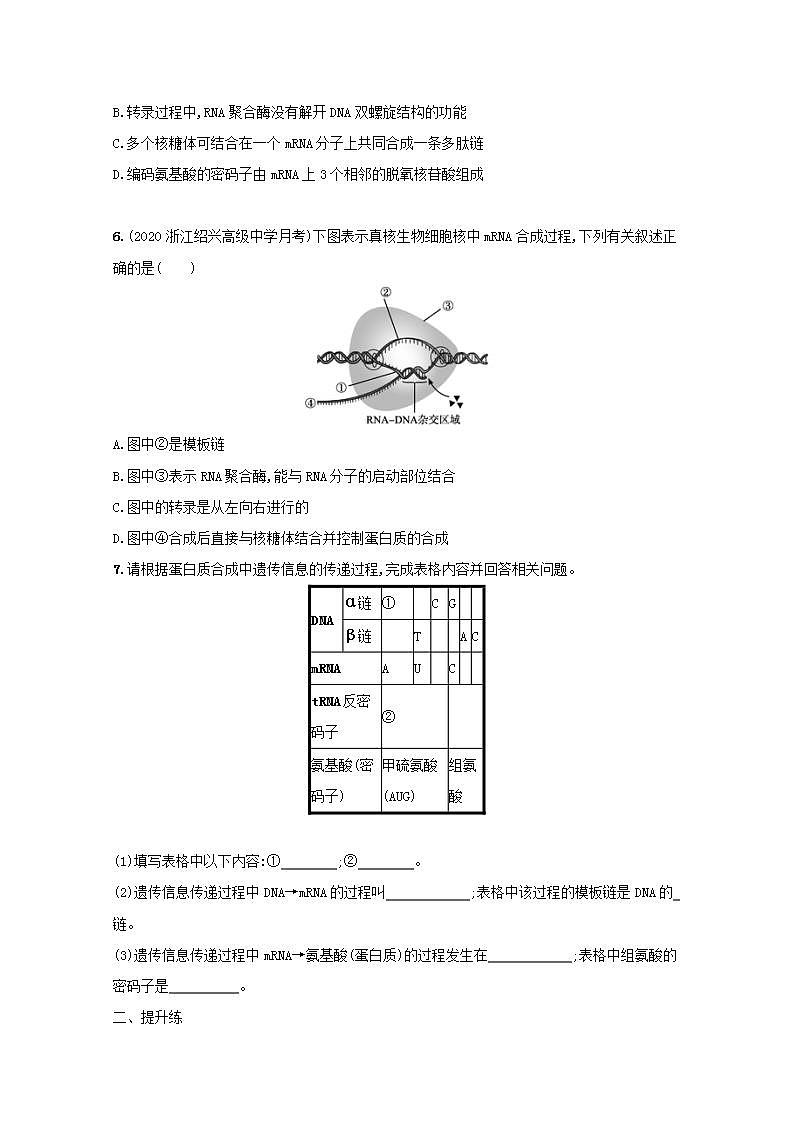 2022高考生物一轮复习课时练17遗传信息的转录和翻译含解析新人教版第2页