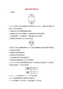 2022高考生物一轮复习课时练13减数分裂和受精作用含解析新人教版