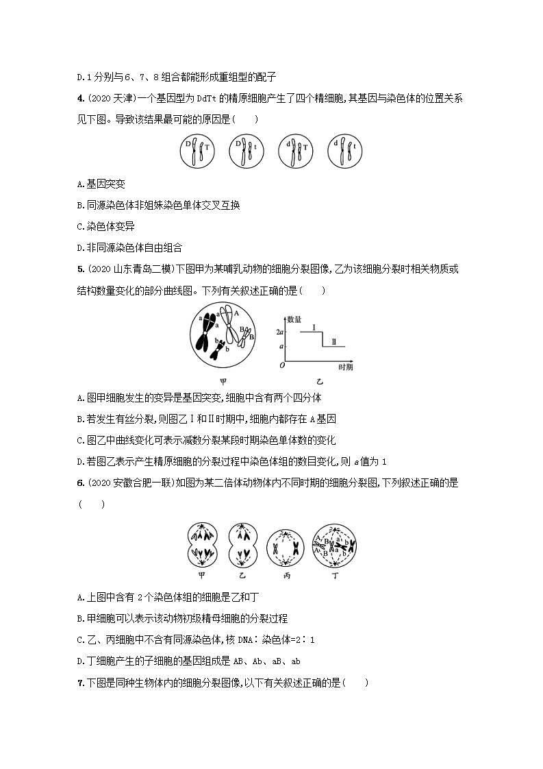 2022高考生物一轮复习课时练13减数分裂和受精作用含解析新人教版第2页