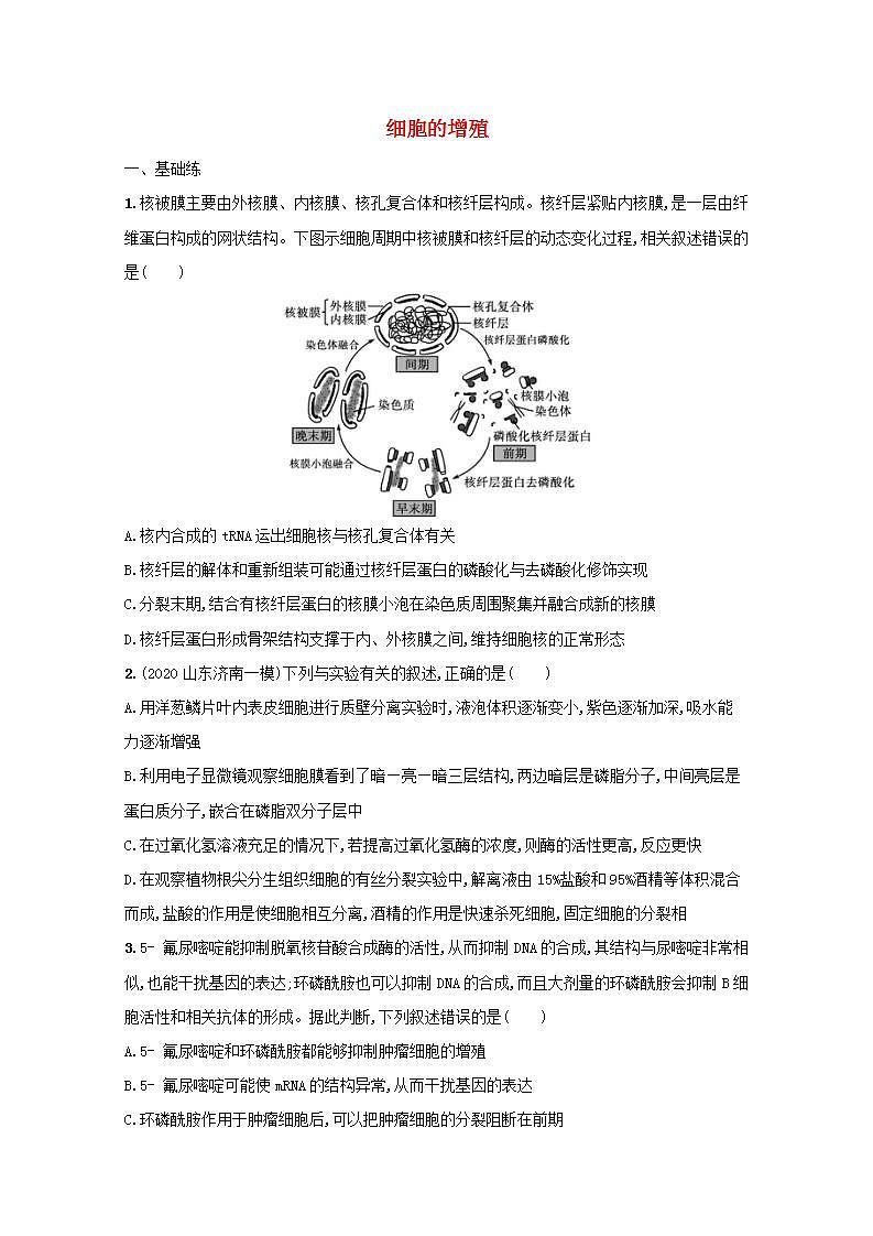 2022高考生物一轮复习课时练12细胞的增殖含解析新人教版第1页