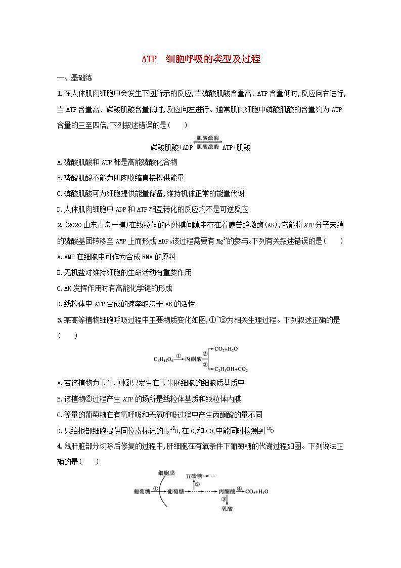 2022高考生物一轮复习课时练8ATP细胞呼吸的类型及过程含解析新人教版01