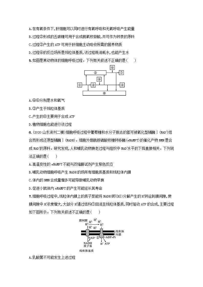 2022高考生物一轮复习课时练8ATP细胞呼吸的类型及过程含解析新人教版02