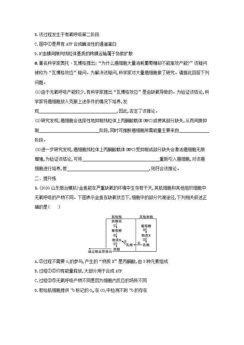 2022高考生物一轮复习课时练8ATP细胞呼吸的类型及过程含解析新人教版03