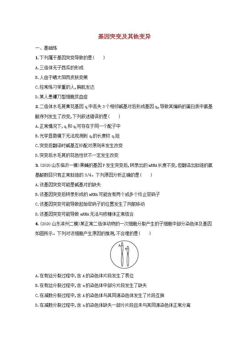 2022高考生物一轮复习课时练24基因突变及其他变异含解析新人教版第1页