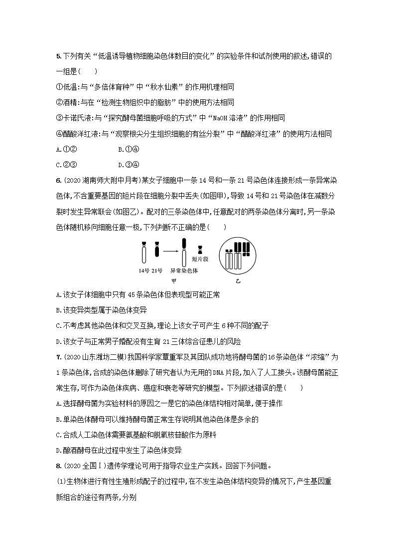 2022高考生物一轮复习课时练24基因突变及其他变异含解析新人教版第2页