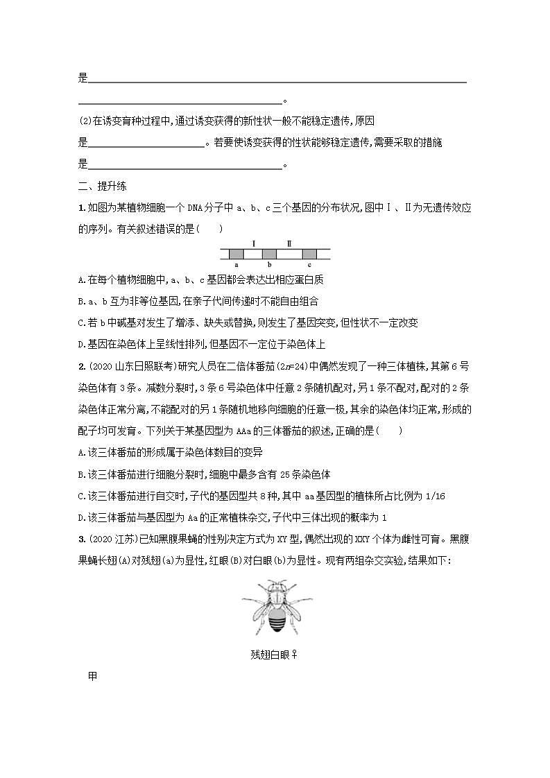 2022高考生物一轮复习课时练24基因突变及其他变异含解析新人教版第3页
