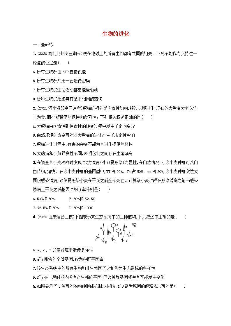 2022高考生物一轮复习课时练25生物的进化含解析新人教版01
