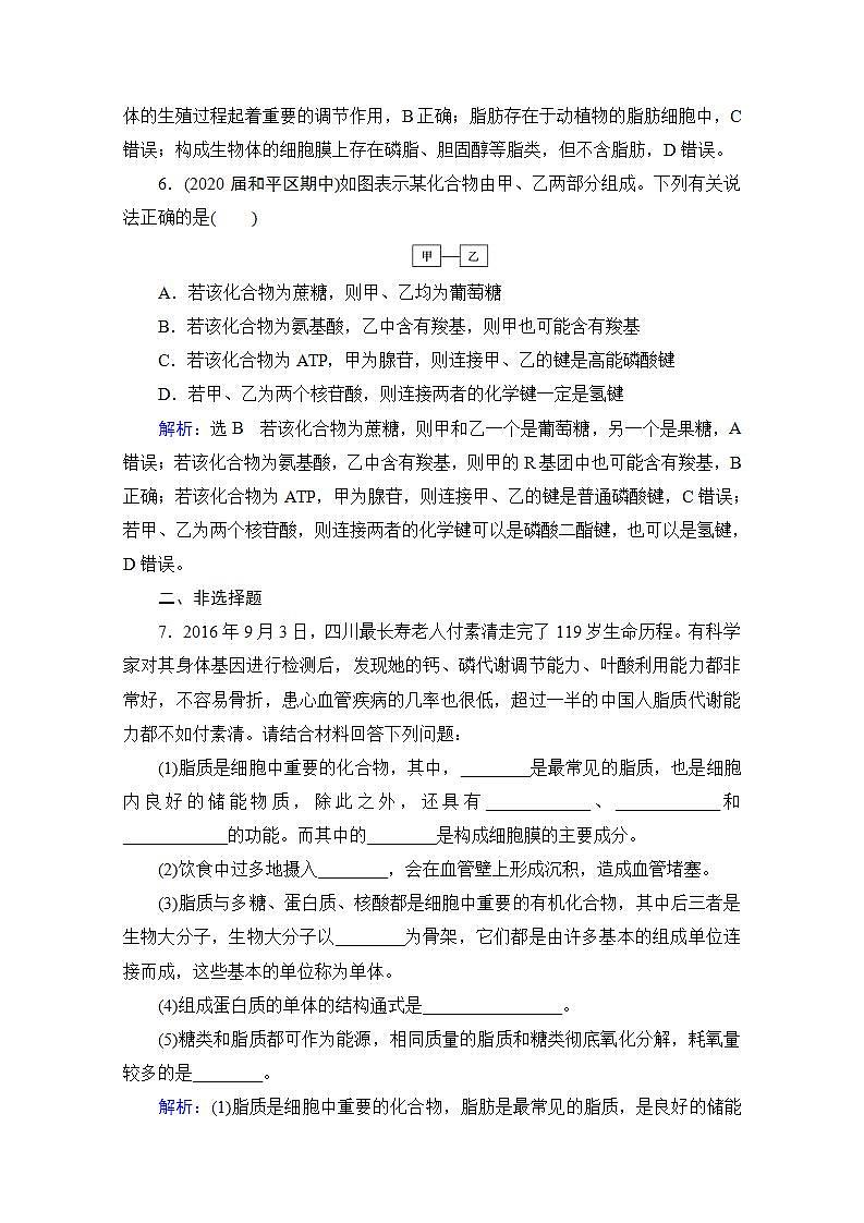 2022高三统考生物人教版一轮参考跟踪练：第1单元　第4讲 核酸、糖类与脂质第3页