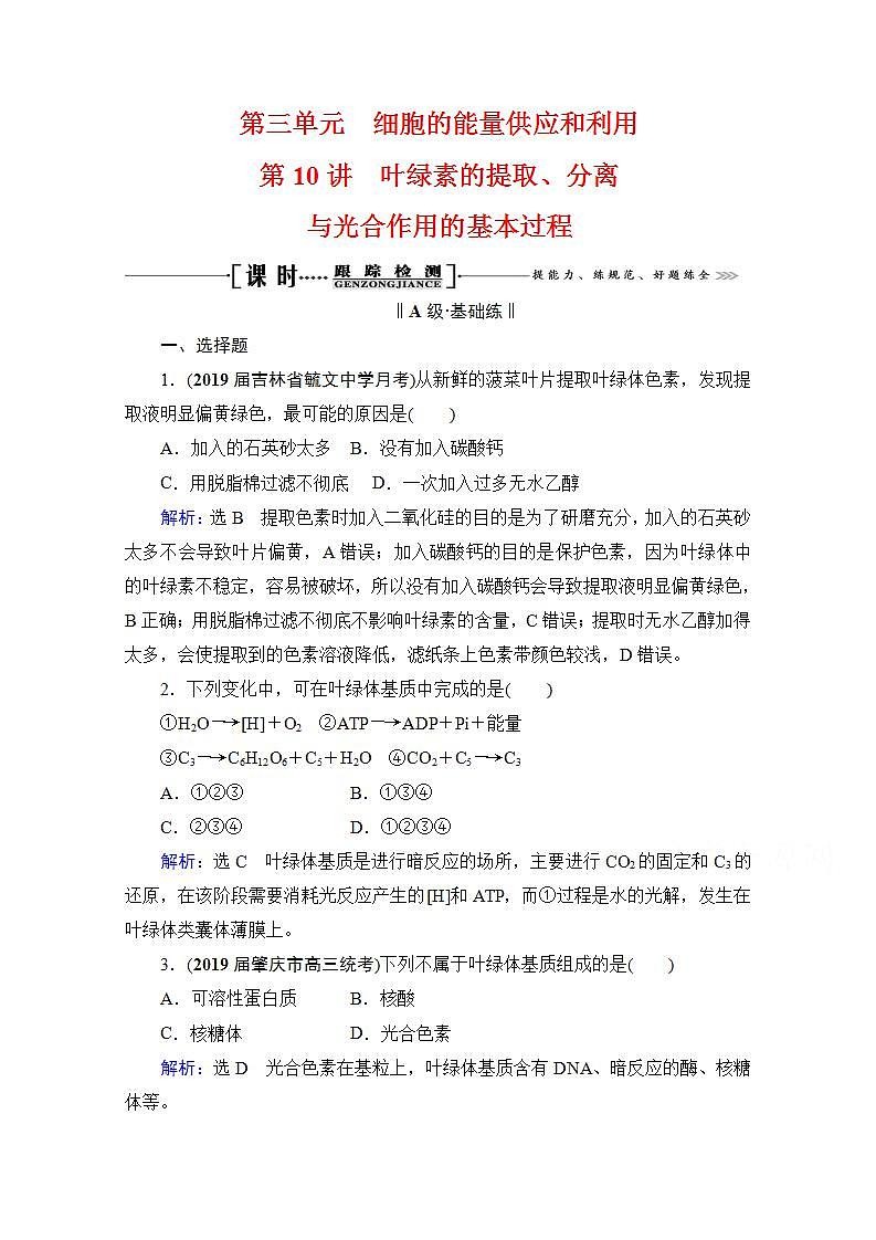 2022高三统考生物人教版一轮参考跟踪练：第3单元　第10讲 叶绿素的提取、分离与光合作用的基本过程第1页