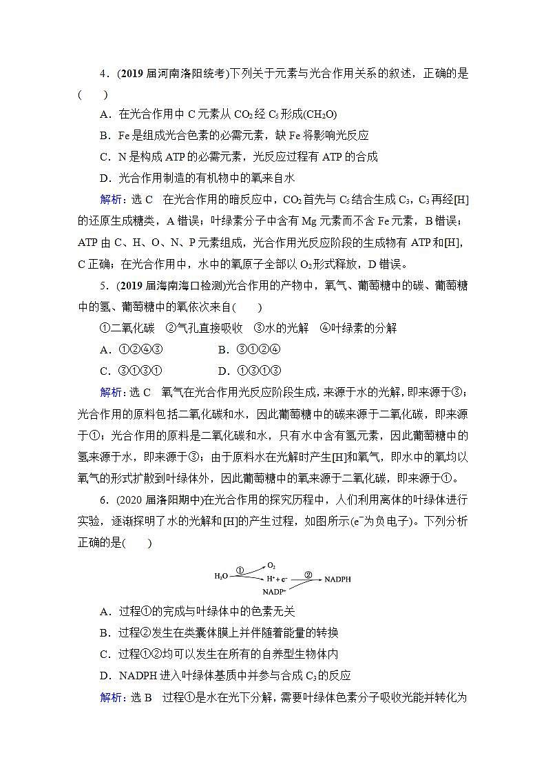 2022高三统考生物人教版一轮参考跟踪练：第3单元　第10讲 叶绿素的提取、分离与光合作用的基本过程第2页