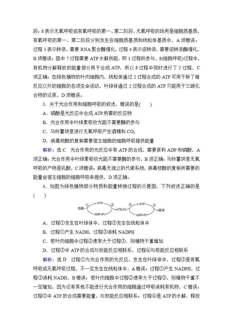2022高三统考生物人教版一轮参考跟踪练：第3单元　第11讲 光合作用的影响因素及与细胞呼吸的关系第2页