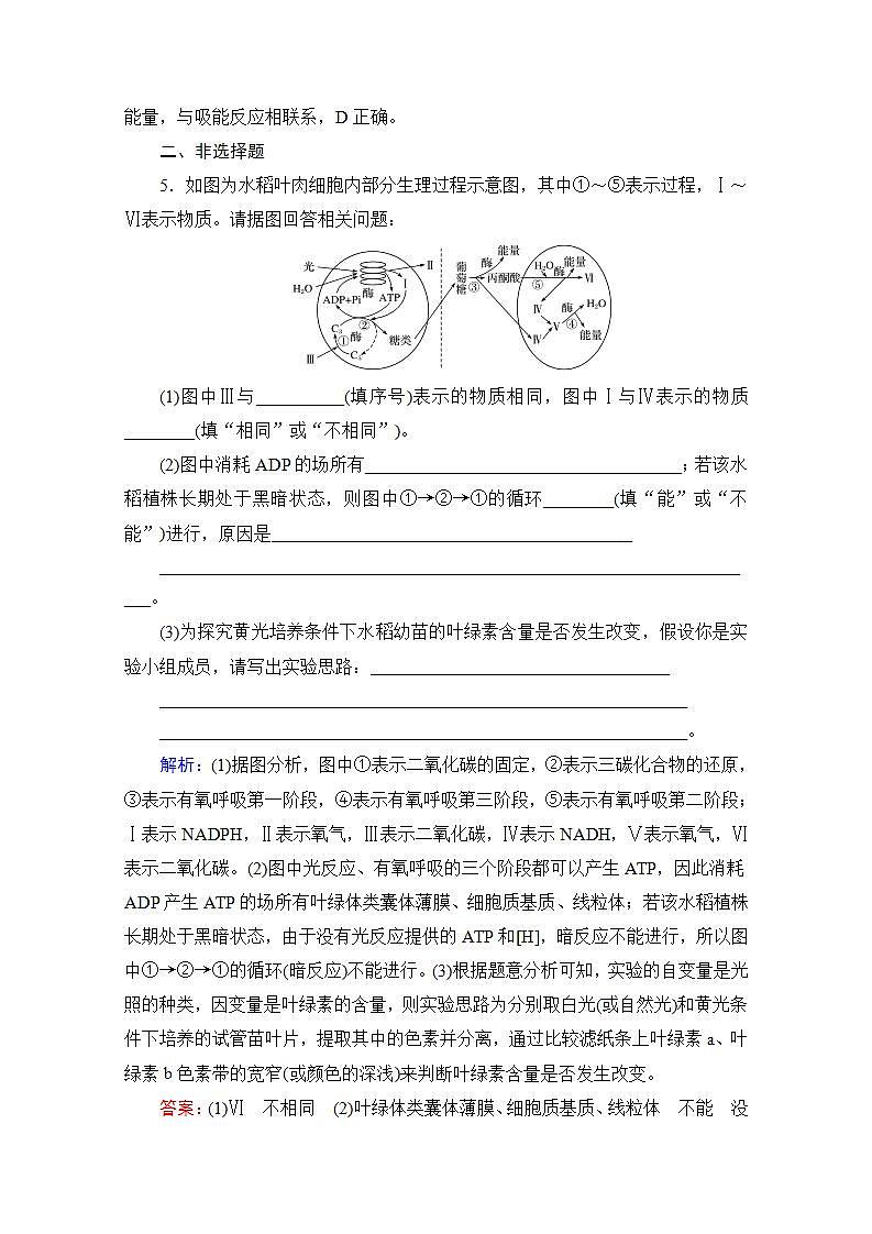 2022高三统考生物人教版一轮参考跟踪练：第3单元　第11讲 光合作用的影响因素及与细胞呼吸的关系第3页