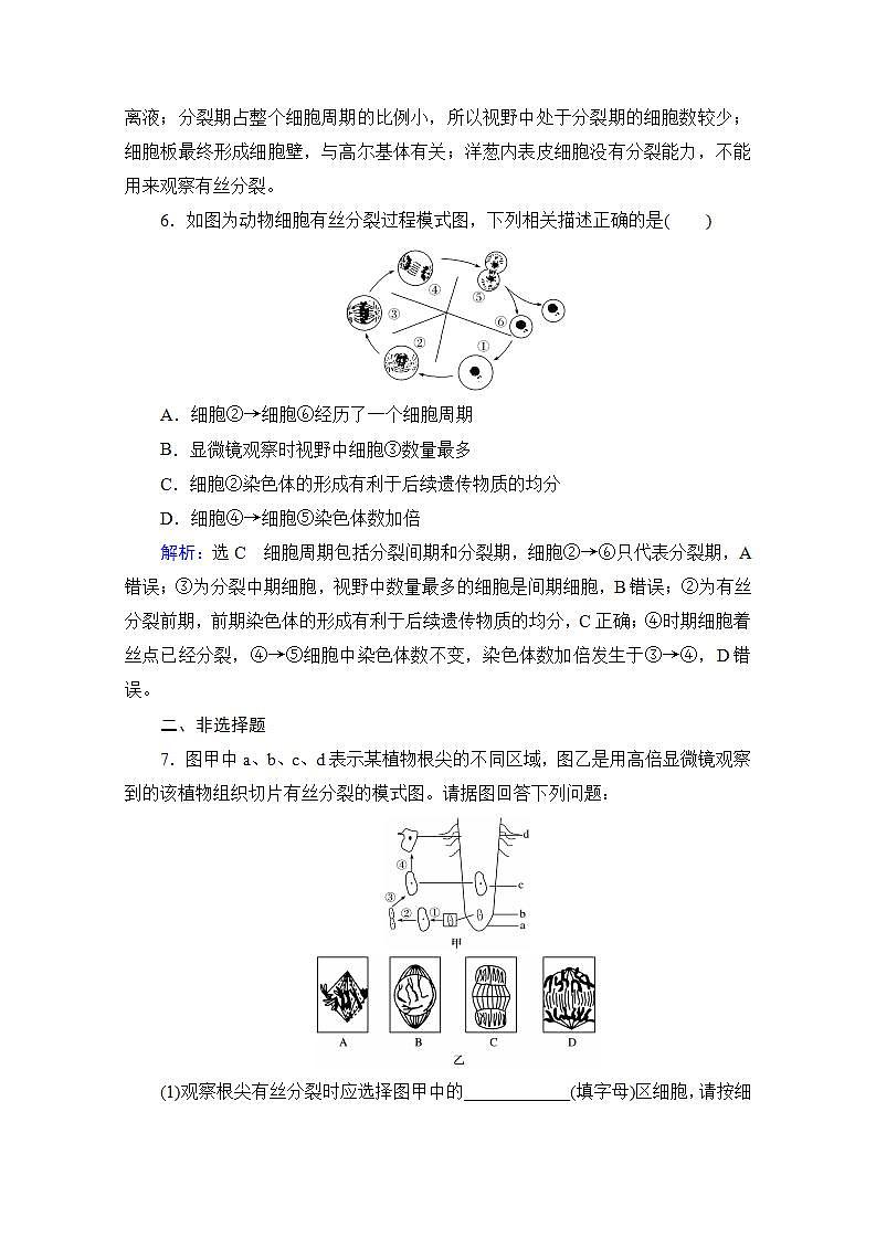 2022高三统考生物人教版一轮参考跟踪练：第4单元　第12讲 细胞的增殖第3页