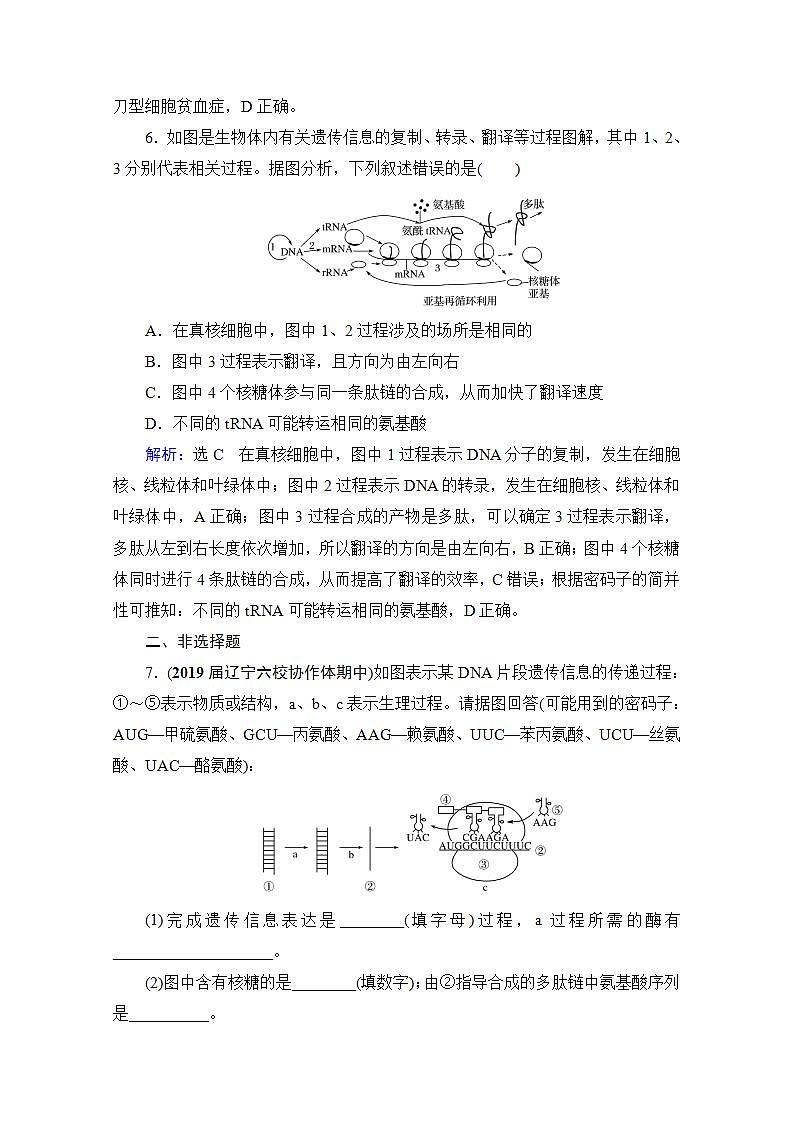2022高三统考生物人教版一轮参考跟踪练：第6单元　第20讲 基因的表达第3页