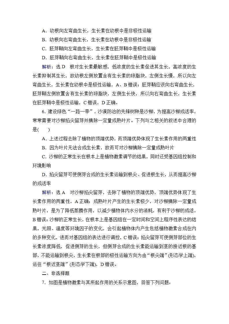 2022高三统考生物人教版一轮参考跟踪练：第8单元　第28讲 植物的激素调节第3页