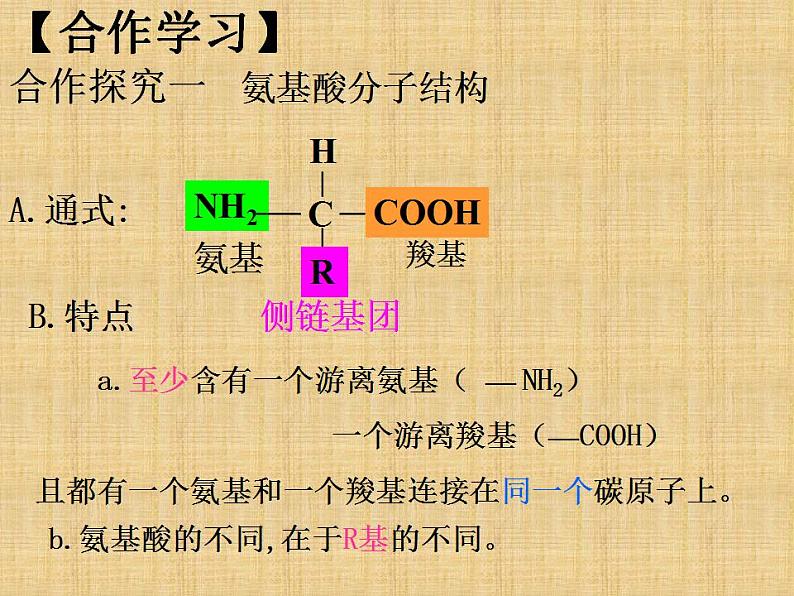 人教版生物必修第一册同步课件：《第4节 蛋白质是生命活动的主要承担者》第4页