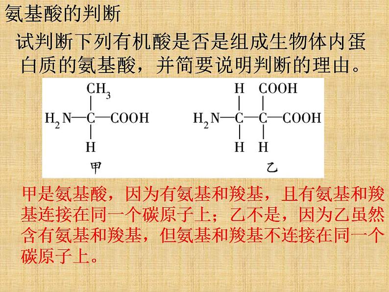 人教版生物必修第一册同步课件：《第4节 蛋白质是生命活动的主要承担者》第6页