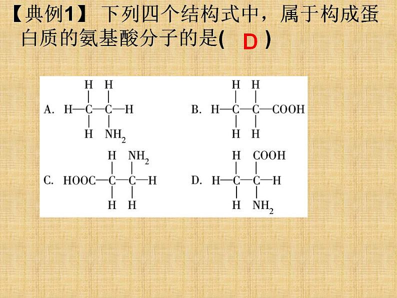 人教版生物必修第一册同步课件：《第4节 蛋白质是生命活动的主要承担者》第7页