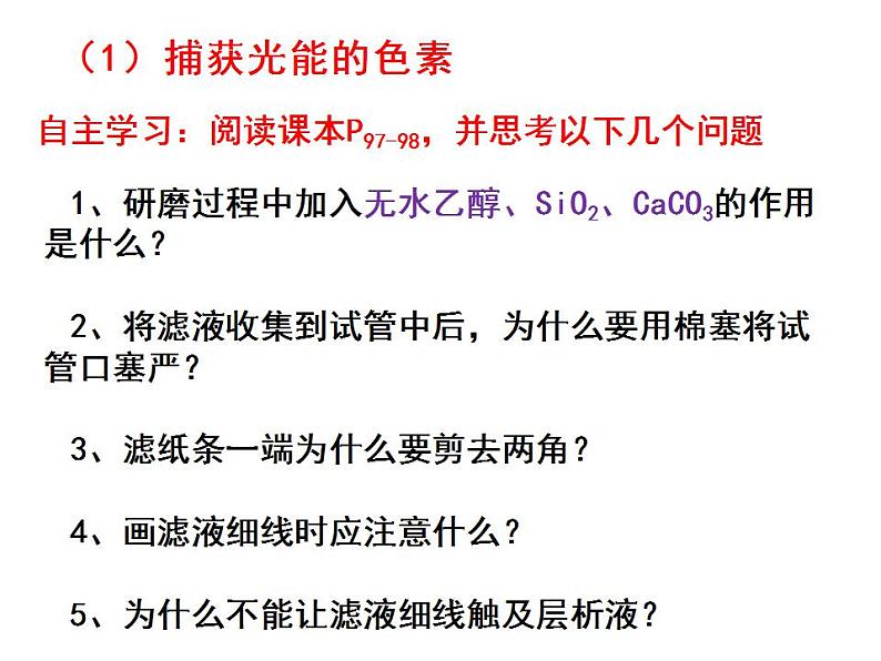 人教版生物必修第一册同步课件：《一 捕获光能的色素和结构》第6页