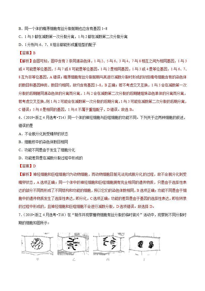 十年高考真题分类汇编(2010-2019)  生物 专题05 细胞的生命历程  Word版无答案原卷版03