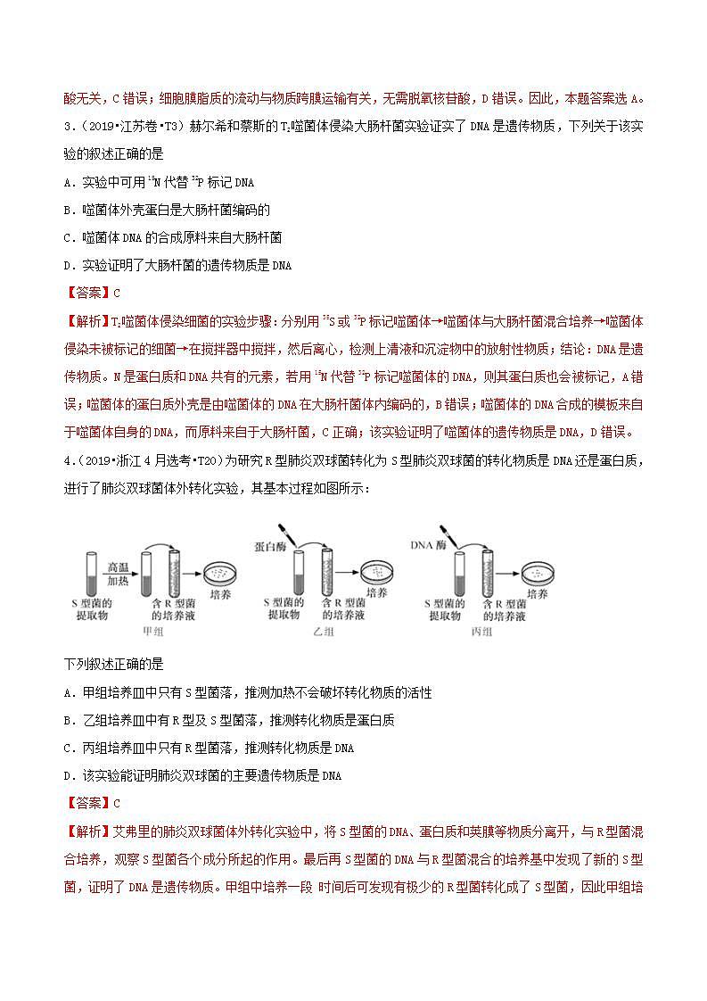 十年高考真题分类汇编(2010-2019)  生物 人教版新课标专题06 遗传的分子基础  Word版含解斩02