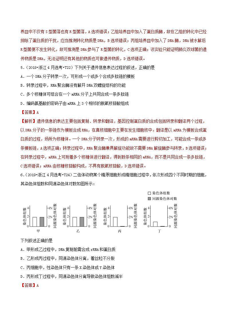 十年高考真题分类汇编(2010-2019)  生物 人教版新课标专题06 遗传的分子基础  Word版含解斩03