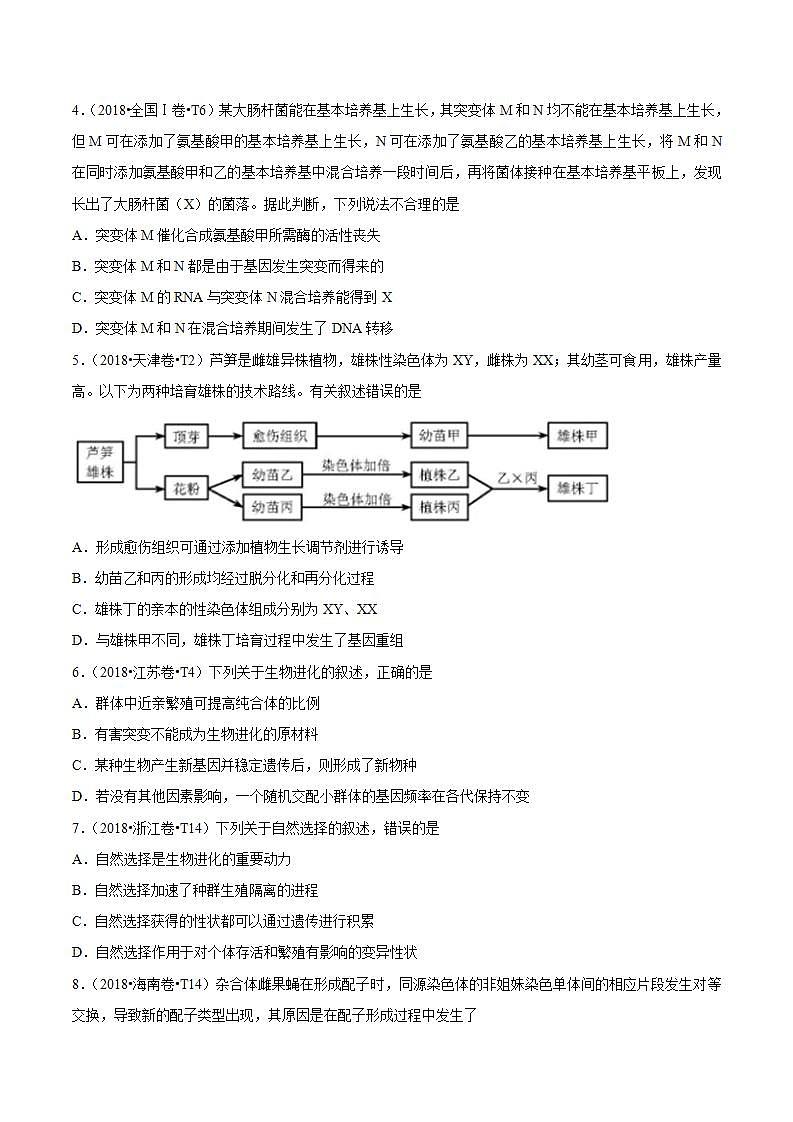 十年高考真题分类汇编(2010-2019)  生物人教版新课标 专题09 生物的变异、育种与进化  Word版无答案原卷版02