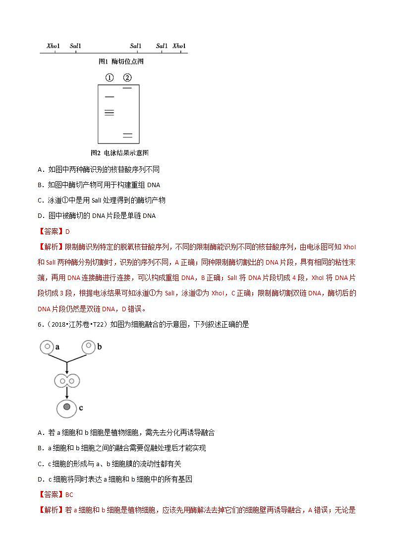 十年高考真题分类汇编(2010-2019)  生物 人教版新课标专题16 选修3 现代生物科技专题  Word版含解斩03