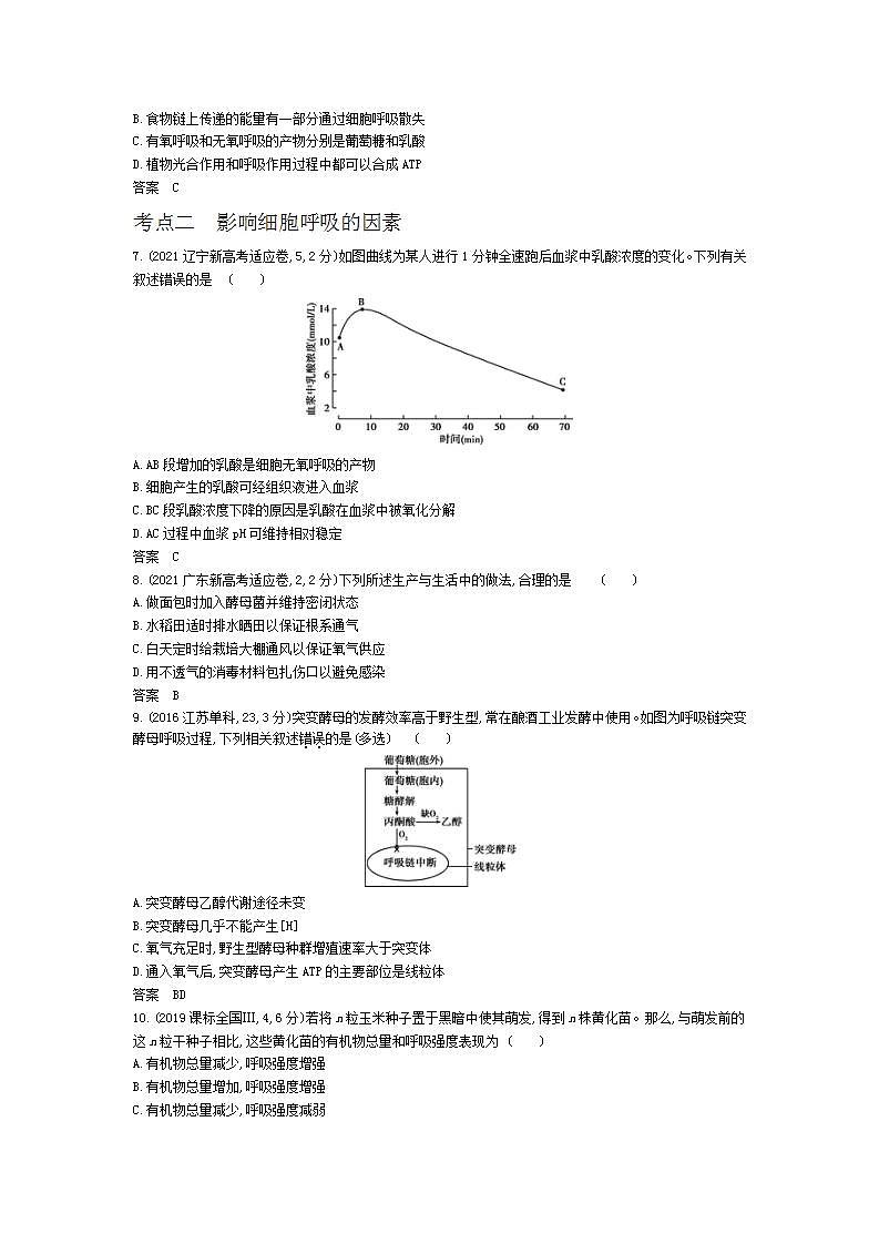 2022版高考生物选考江苏专用一轮总复习集训：专题5细胞呼吸 —模拟第2页