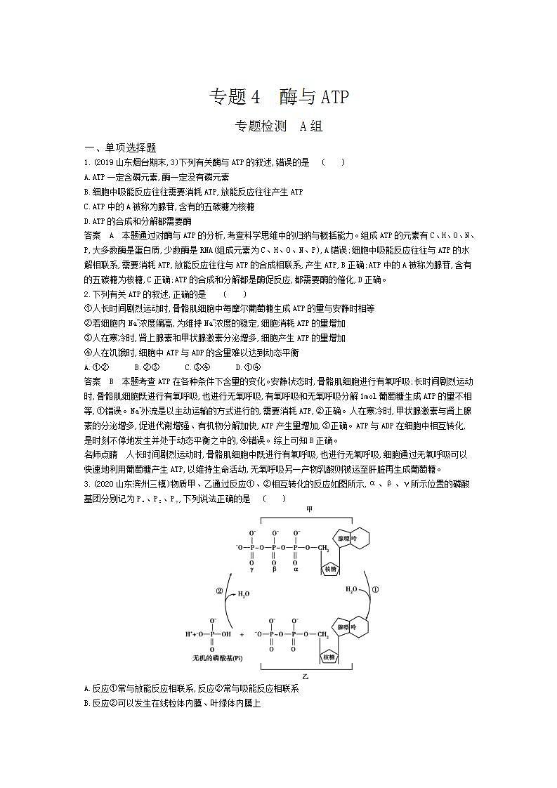 2022版高考生物选考江苏专用一轮总复习集训：专题4酶与ATP 专题检测第1页