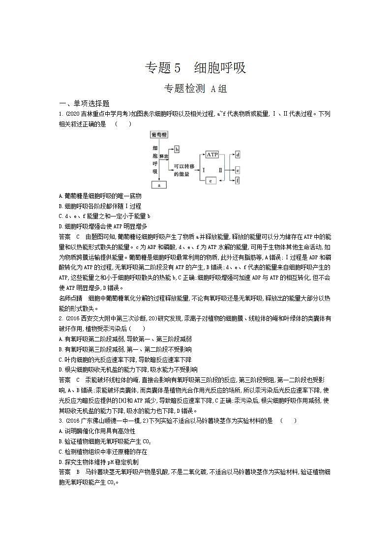 2022版高考生物选考江苏专用一轮总复习集训：专题5细胞呼吸 专题检测第1页