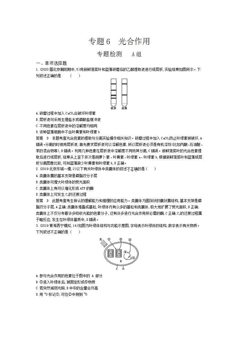 2022版高考生物选考江苏专用一轮总复习集训：专题6光合作用 专题检测第1页