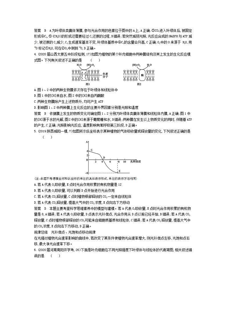 2022版高考生物选考江苏专用一轮总复习集训：专题6光合作用 专题检测第2页