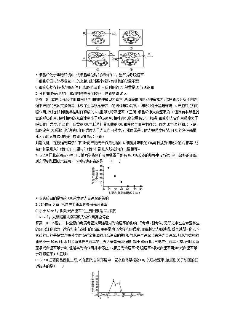 2022版高考生物选考江苏专用一轮总复习集训：专题6光合作用 专题检测第3页
