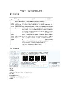 2022版高考生物选考江苏专用一轮总复习集训：专题9遗传的细胞基础 —基础集训