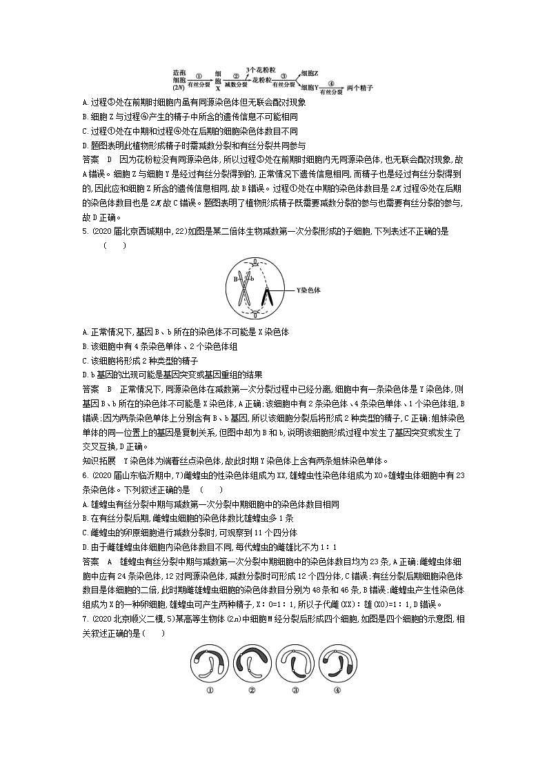 2022版高考生物选考江苏专用一轮总复习集训：专题9遗传的细胞基础 专题检测第2页