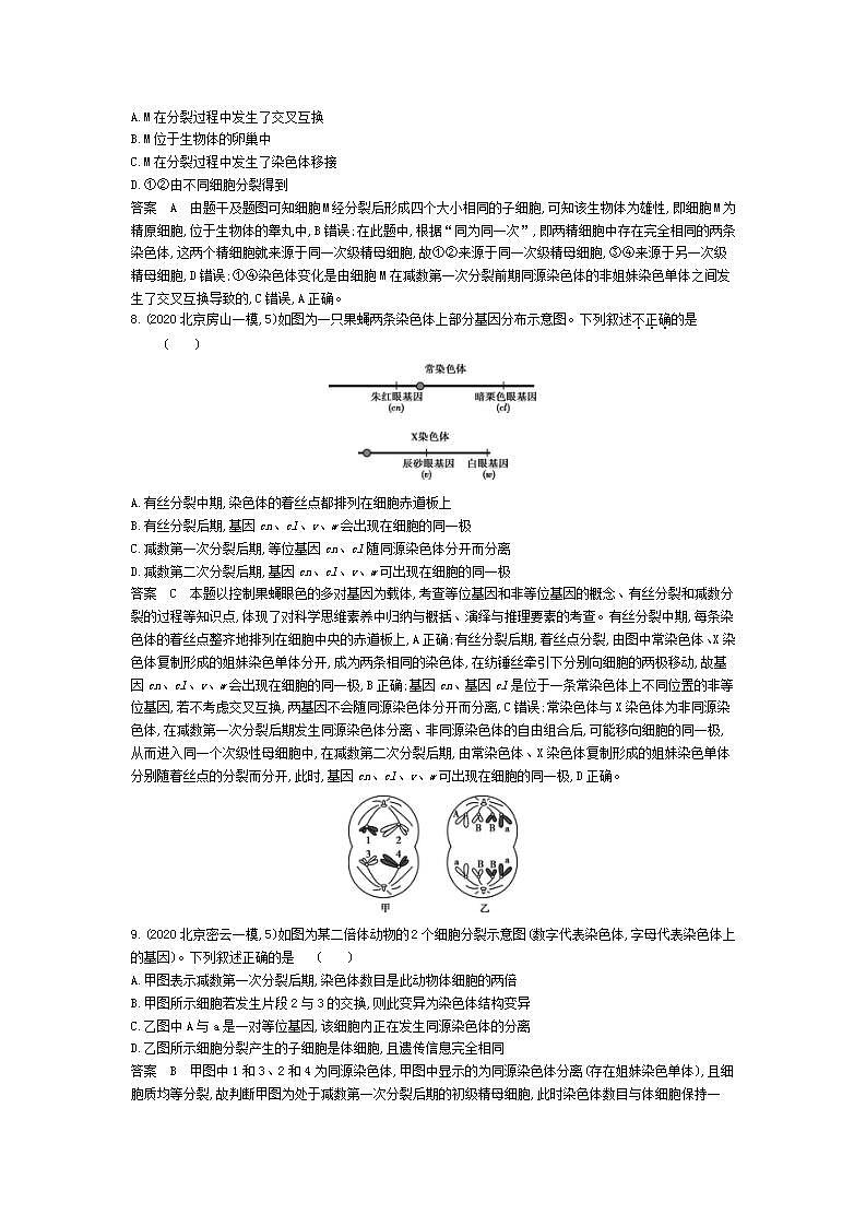 2022版高考生物选考江苏专用一轮总复习集训：专题9遗传的细胞基础 专题检测第3页