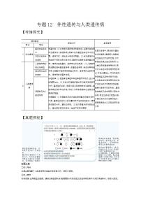 2022版高考生物选考江苏专用一轮总复习集训：专题12伴性遗传与人类遗传病 —基础集训