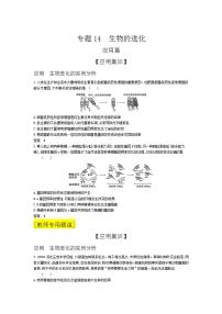 2022版高考生物选考江苏专用一轮总复习集训：专题14生物的进化 —应用集训