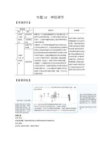 2022版高考生物选考江苏专用一轮总复习集训：专题16神经调节 —基础集训