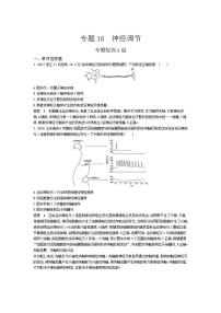 2022版高考生物选考江苏专用一轮总复习集训：专题16神经调节 专题检测