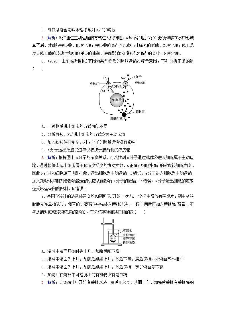 2022版新教材高考生物一轮复习课时评价6细胞的物质输入和输出 新人教版第3页