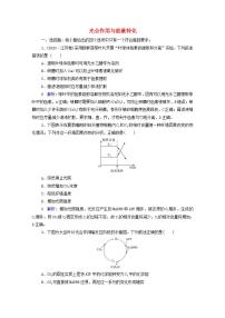 2022版新教材高考生物一轮复习课时评价9光合作用与能量转化 新人教版