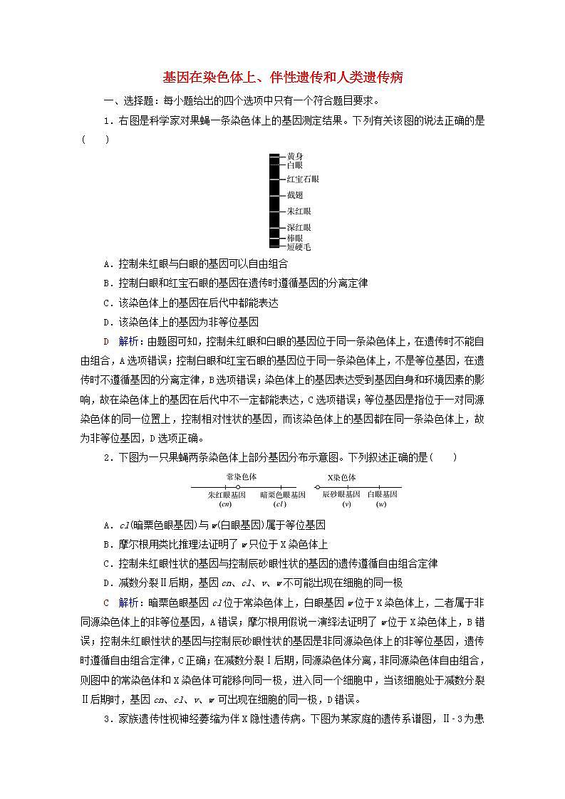 2022版新教材高考生物一轮复习课时评价15基因在染色体上伴性遗传和人类遗传病 新人教版第1页