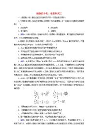 2022版新教材高考生物一轮复习课时评价12细胞的分化衰老和死亡 新人教版