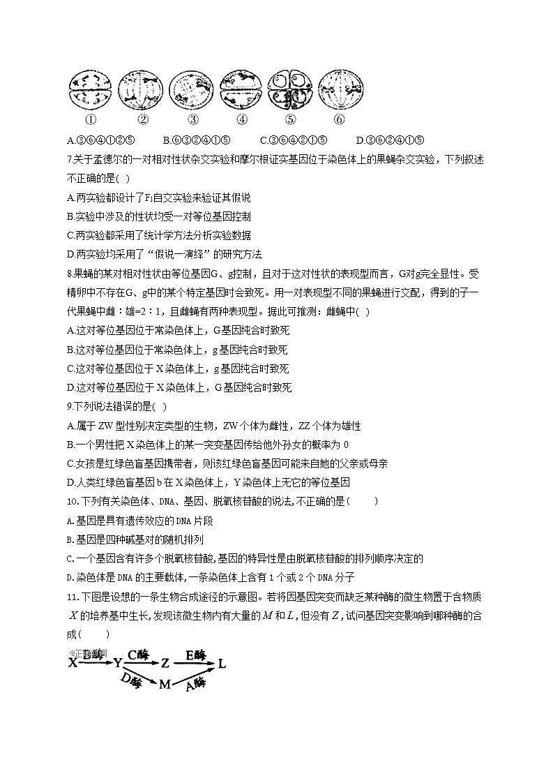 【新教材】2022届高考生物一轮复习同步检测：必修2分子与细胞 综合检测题 能力提升01第2页