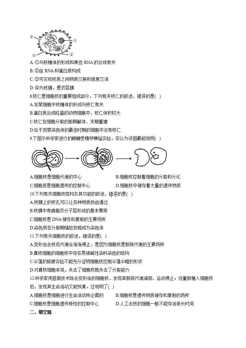 【新教材】2022届高考生物一轮复习同步检测：第二单元 细胞的基本结构和物质的运输 第04讲 细胞膜和细胞核 基础训练B卷02