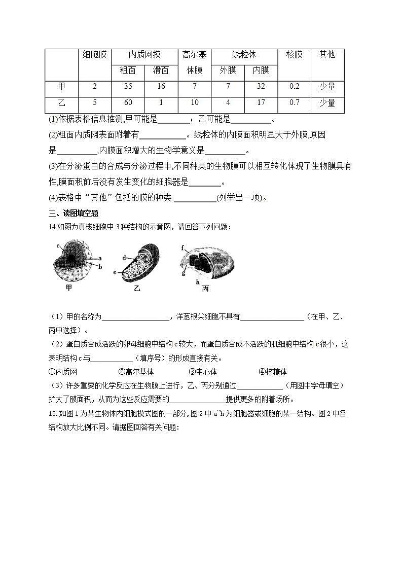 【新教材】2022届高考生物一轮复习同步检测：第二单元 细胞的基本结构和物质的运输 第05讲 细胞器和生物膜系统 基础训练A卷03