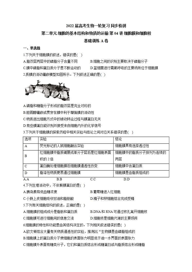 【新教材】2022届高考生物一轮复习同步检测：第二单元 细胞的基本结构和物质的运输 第04讲 细胞膜和细胞核 基础训练A卷01